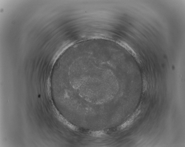 X0000072530798200608041556