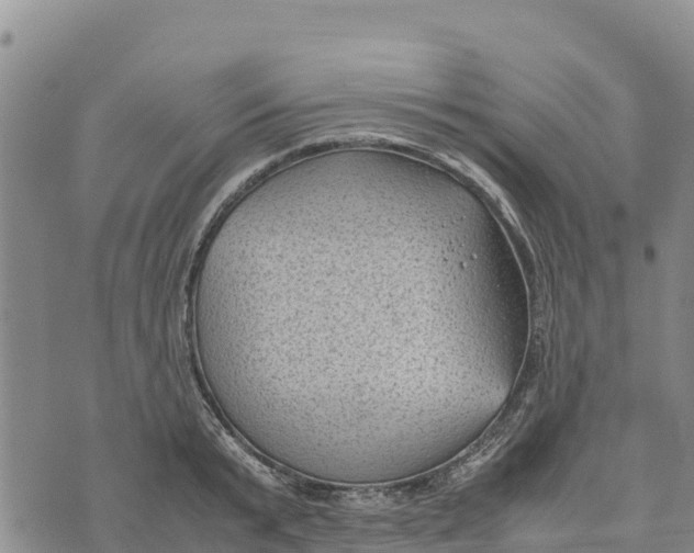 X0000072530799200608041556