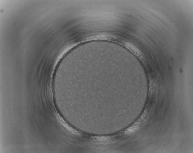 X0000072530800200608041556