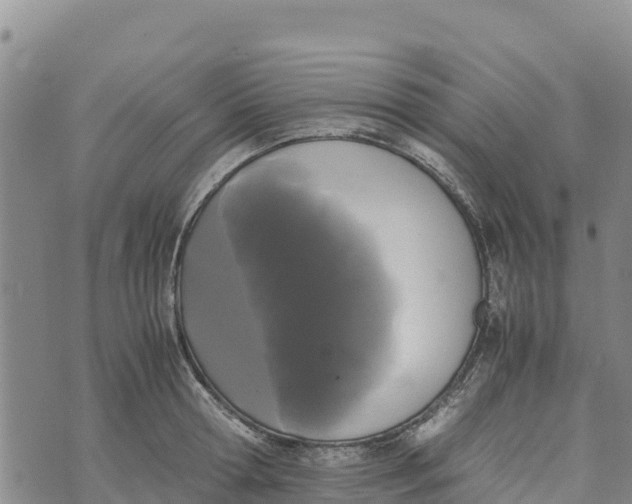 X0000072530802200608041556