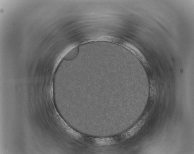 X0000072530804200608041556