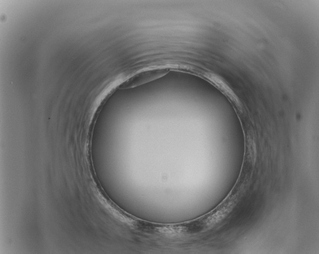 X0000072530805200608041556