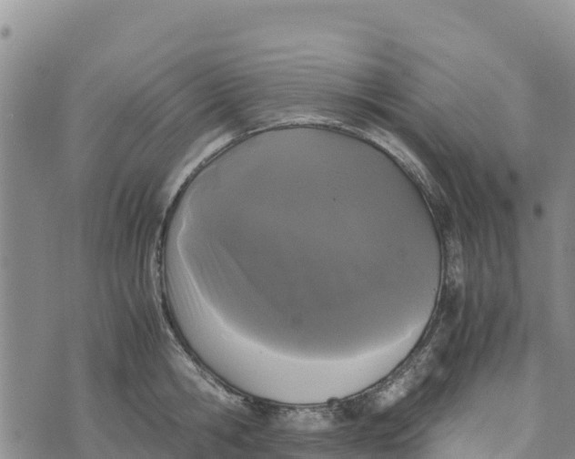 X0000072530806200608041556