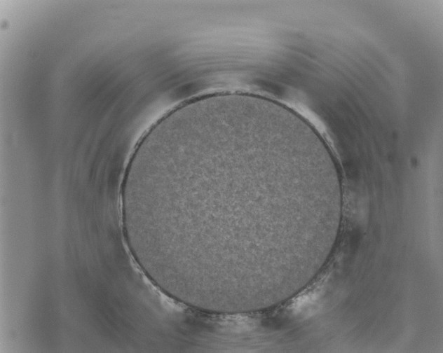 X0000072530807200608041555