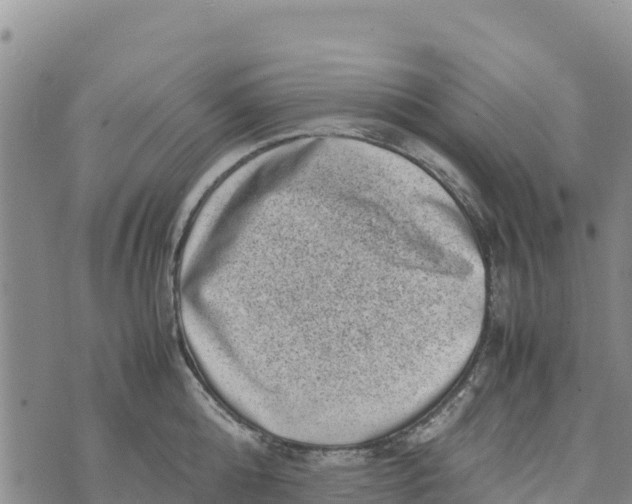 X0000072530808200608041555