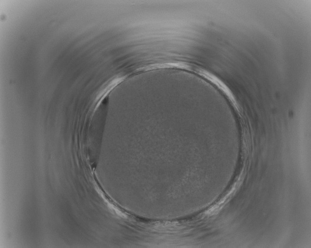 X0000072530809200608041555