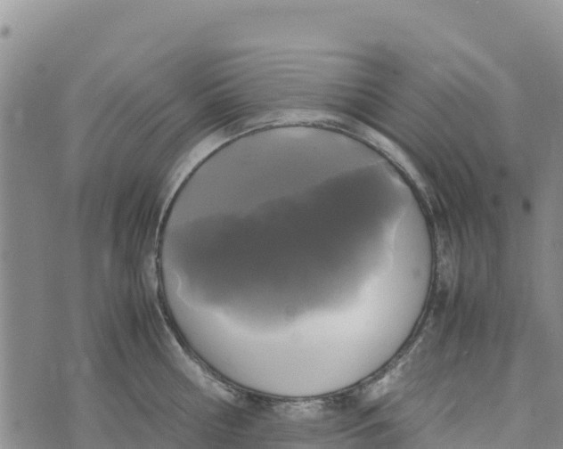 X0000072530810200608041555