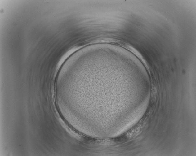 X0000072530811200608041555