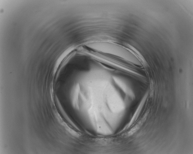 X0000072530812200608041555