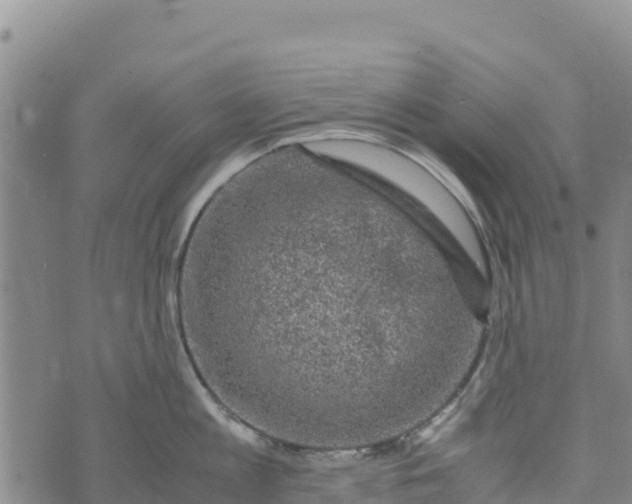 X0000072530813200608041555