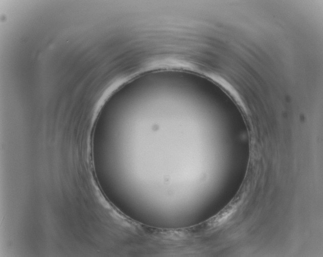 X0000072530815200608041555