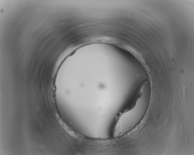 X0000072530816200608041555