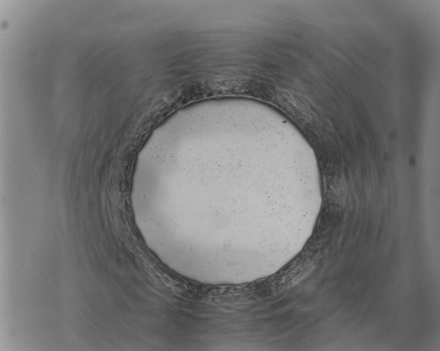 X0000072530817200608041555