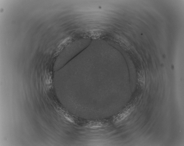 X0000072530818200608041555