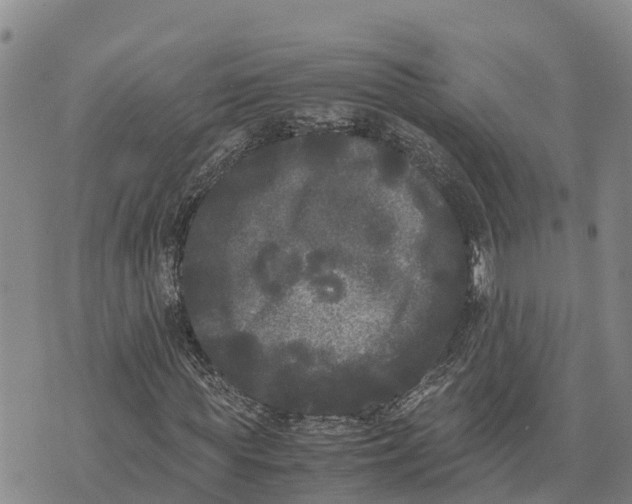 X0000072530819200608041555