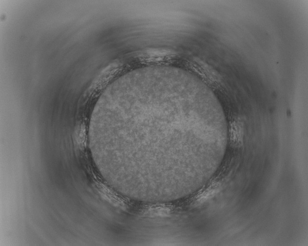 X0000072530820200608041555