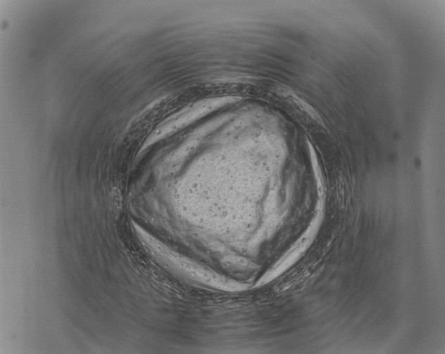 X0000072530821200608041555