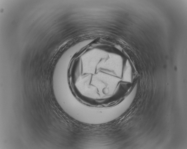 X0000072530822200608041555