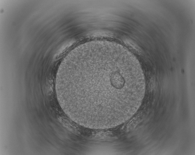 X0000072530824200608041555