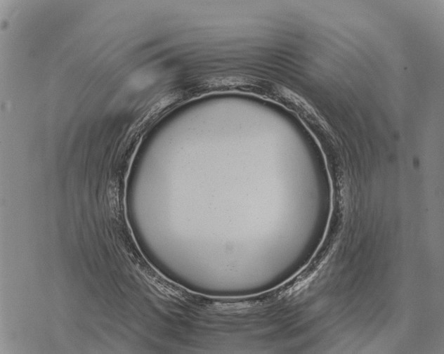 X0000072530825200608041555