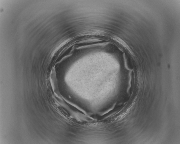 X0000072530826200608041555