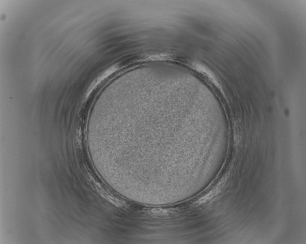 X0000072530827200608041555