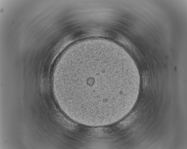 X0000072530828200608041555