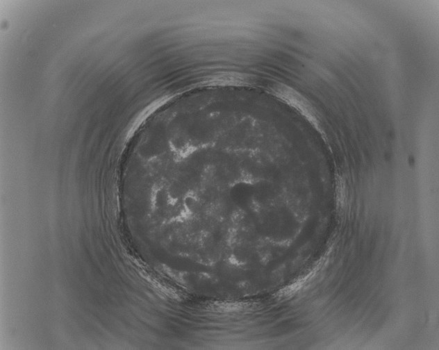 X0000072530829200608041555