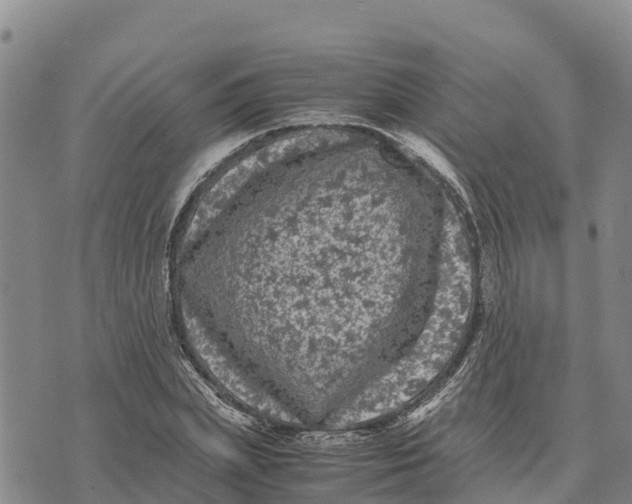 X0000072530831200608041555