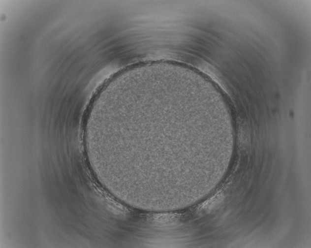 X0000072530832200608041555