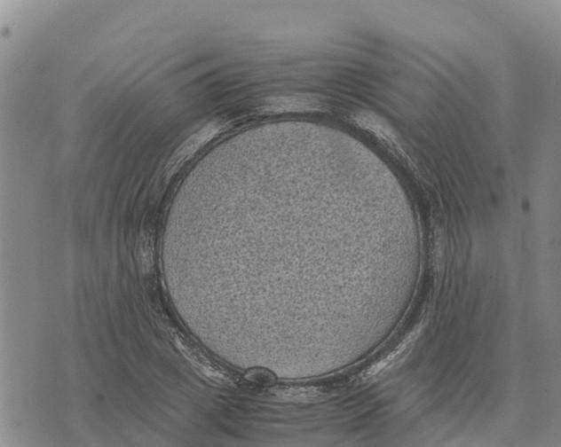 X0000072530833200608041555