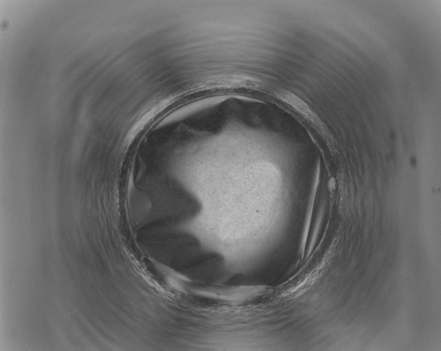 X0000072530834200608041555