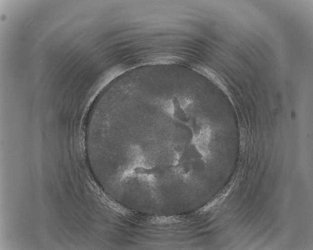 X0000072530835200608041555