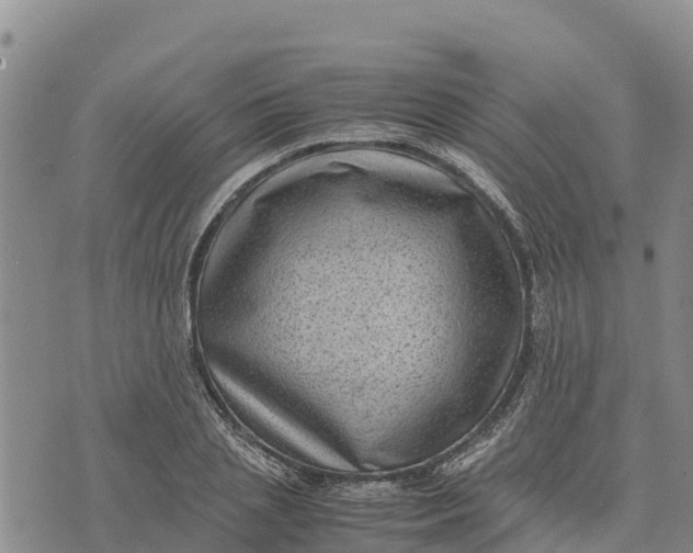 X0000072530837200608041555