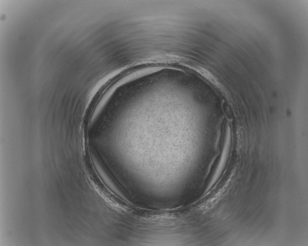 X0000072530838200608041555