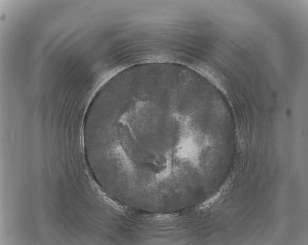 X0000072530839200608041555