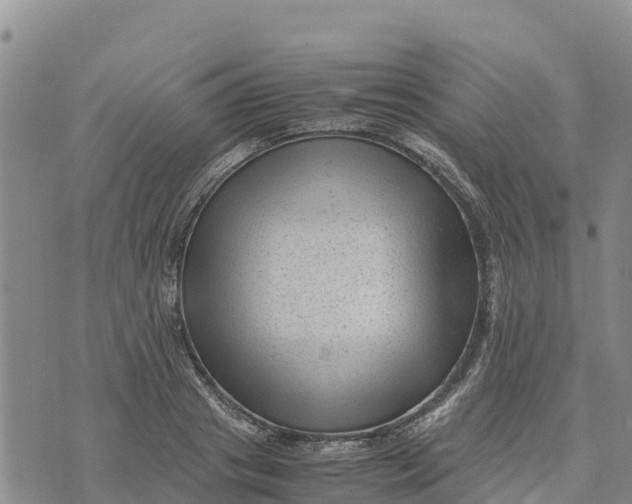 X0000072530841200608041555