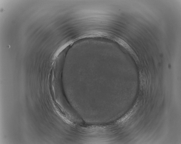 X0000072530842200608041555