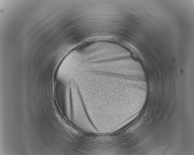 X0000072530844200608041555