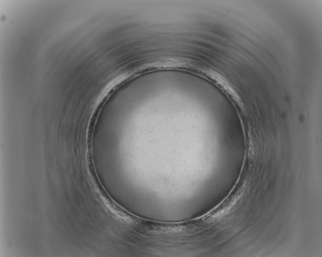 X0000072530845200608041555