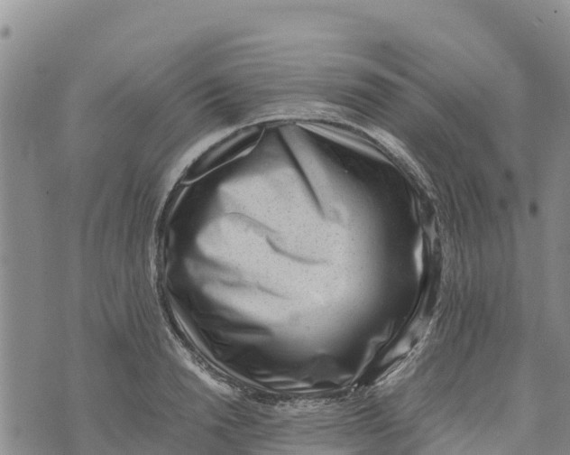 X0000072530846200608041555