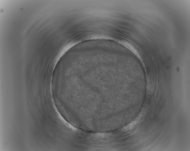 X0000072530847200608041555