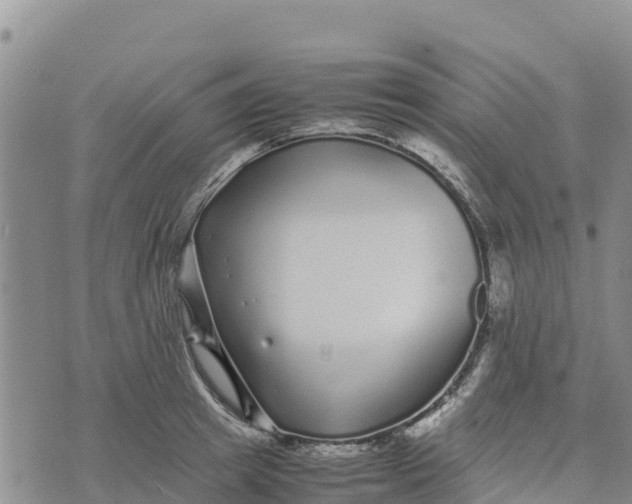 X0000072530849200608041555