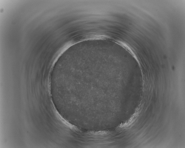 X0000072530851200608041555