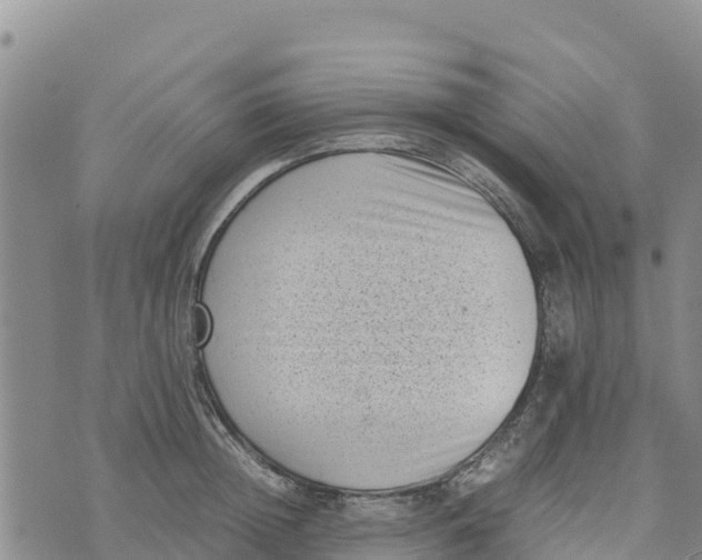 X0000072530852200608041555