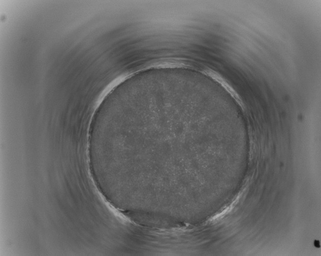 X0000072530853200608041555