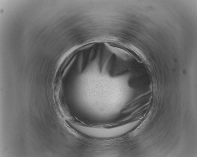 X0000072530854200608041555