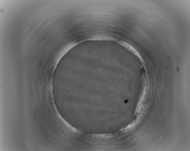 X0000072530855200608041555