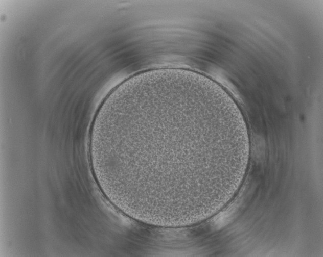 X0000072530856200608041555