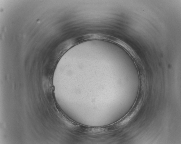 X0000072530857200608041555